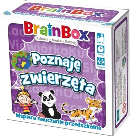 Gra edukacyjna Rebel BrainBox poznaję zwierzęta (5902650616684) Rebel