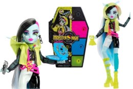 Lalka Monster High FRANKIE STEIN [mm:] 290 Mattel (HNF79) Mattel